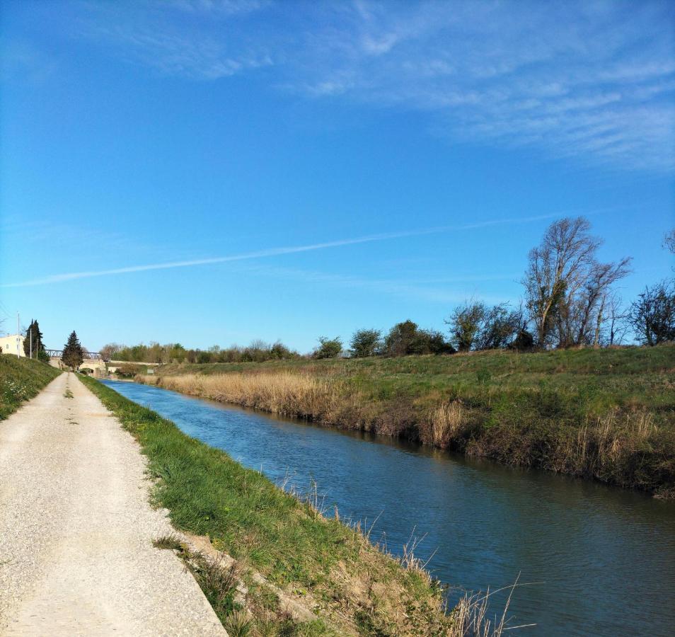 Gites A Moussan ,Domaine De La Barque A 5 Mins De Narbonne Exterior foto