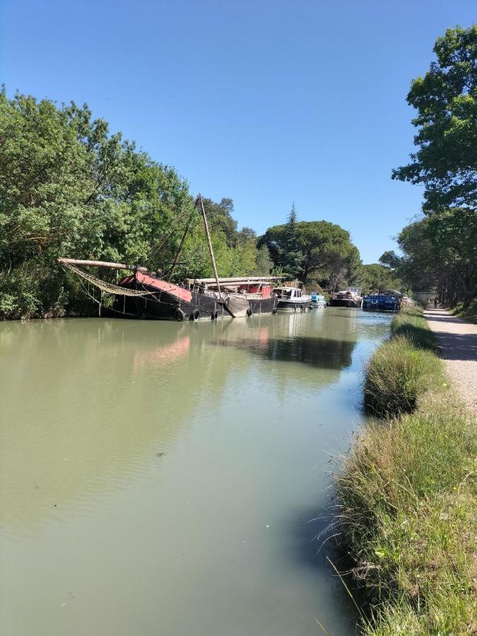 Gites A Moussan ,Domaine De La Barque A 5 Mins De Narbonne Exterior foto